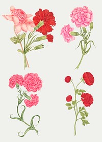 Vintage flowers vector illustration set, remixed from the 18th-century artworks from the Smithsonian archive.