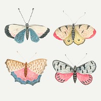 Vintage butterfly and moth watercolor illustration vector set remixed from the 18th-century artworks from the Smithsonian archive.