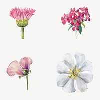 Wild flowers vector botanical illustration set, remixed from the artworks by <a href="https://www.rawpixel.com/search/Mary%20Vaux%20Walcott?sort=curated&amp;page=1" target="_blank">Mary Vaux Walcott</a>