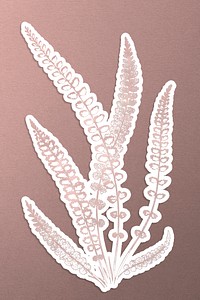 Botanical spleenwort fern sticker design resource