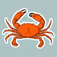 Psd cartoon sticker crab hand drawn vintage clipart