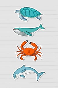 Psd sea animal sticker colorful set cartoon illustration