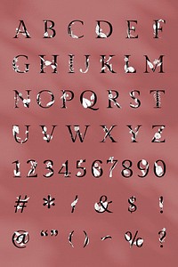 Letter sign 123 set botanical vintage typeface alphabet
