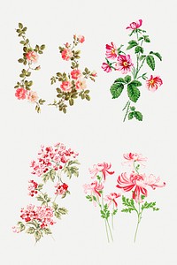 Psd colorful flowers vintage illustration collection