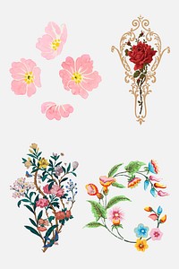 Vector colorful flower illustration set
