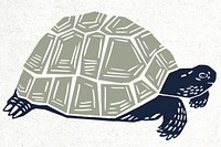Vintage animal turtle vector colorful stencil pattern