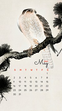 2021 Calendar May template phone wallpaper vector hawk on a pine branch bird remix from Ohara Koson