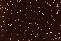 Pink confetti on a brown marble textured background vector