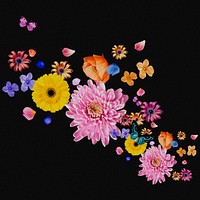 Flower & butterfly collage element, botanical illustration design