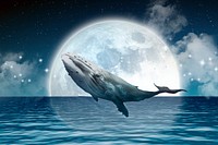 Moon & whale background, collage art, surreal remixed media psd 