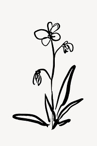 Flower ink brush collage element, line art design vector