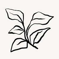 Leaf collage element, ink brush illustration vector