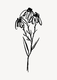 Black Eyed Susan ink brush collage element, line art design psd