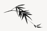 Bamboo leaf collage element,  line art design  psd