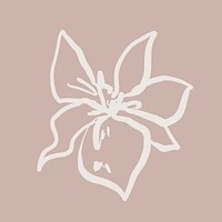 Beige flower collage element, line art aesthetic design   vector