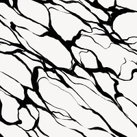 Abstract wavy background, black and white design