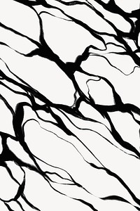 Abstract wavy background, black and white design