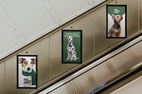 Pet insurance underground billboard mockup, editable design psd