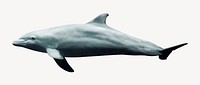 Dolphin collage element, sea animal psd