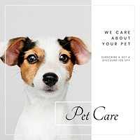 Pet care Instagram post template, cute puppy photo vector