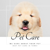 Pet care Instagram post template, cute puppy photo vector