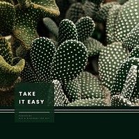 Cactus aesthetic Instagram post template, take it easy quote vector