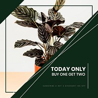 Plant shopping Instagram post template vector