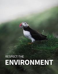 Environment poster with respect the environment quote
