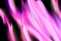 Abstract pink flame background with copy space