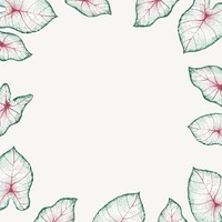 Caladium leaf frame background, aesthetic design psd