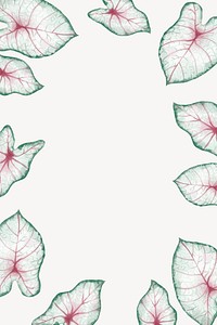 Caladium leaf frame background, aesthetic design vector