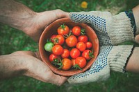 Farm to table, organic vegetable