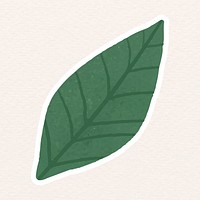 Green leaves sticker vector