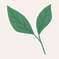Green leaves sticker illustration