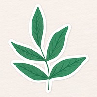 Green leaves sticker illustration