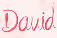 David male name psd calligraphy font