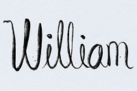 William hand drawn font vector typography