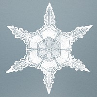 Realistic snowflakes in blue background 