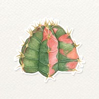Moon cactus watercolor sticker vector