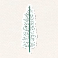Cute pine tree sticker with a white border vector