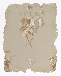 Sidewall (1855–1900) by Ericson & Weiss