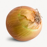 Onion vegetable, isolated food image psd