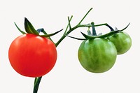 Tomatoes vegetable, isolated food image psd