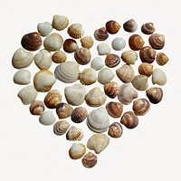 Heart of shells, off white design