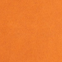 Bright orange background, simple design