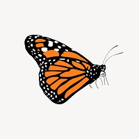 Butterfly illustration. Free public domain CC0 image.