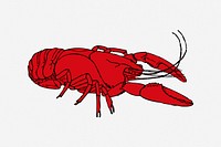 Lobster illustration. Free public domain CC0 image.
