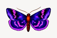 Purple butterfly clip  art. Free public domain CC0 image. 