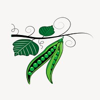 Green pea illustration vector. Free public domain CC0 image.