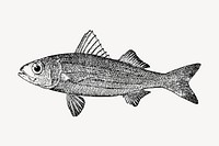 Fish illustration vector. Free public domain CC0 image.